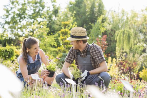 A garden scene in a well-maintained outdoor space features a lawn composed of dense, green grass with neatly trimmed edges, bordered by a variety of flowering plants and shrubs. In the foreground, a man and woman are engaged in gardening activities, with the woman holding a small black pot filled with young plants and the man wearing gardening gloves, a straw hat, and casual checkered shirt, appearing to be preparing to plant or tending to the plants. The background showcases a variety of mature trees, including some with hanging branches, and colorful flowering bushes that add natural tones of greens, pinks, and reds to the scene. The garden is well-lit with natural sunlight, suggesting a bright and clear day, and the setting appears to be part of a residential outdoor space, possibly in Limehouse or surrounding areas, with a well-kept patio or paving surface visible near the gardening activity. This image exemplifies professional gardening and hedge trimming services, aligning with the services provided by Hedge Trimming Limehouse in a peaceful, urban garden environment.