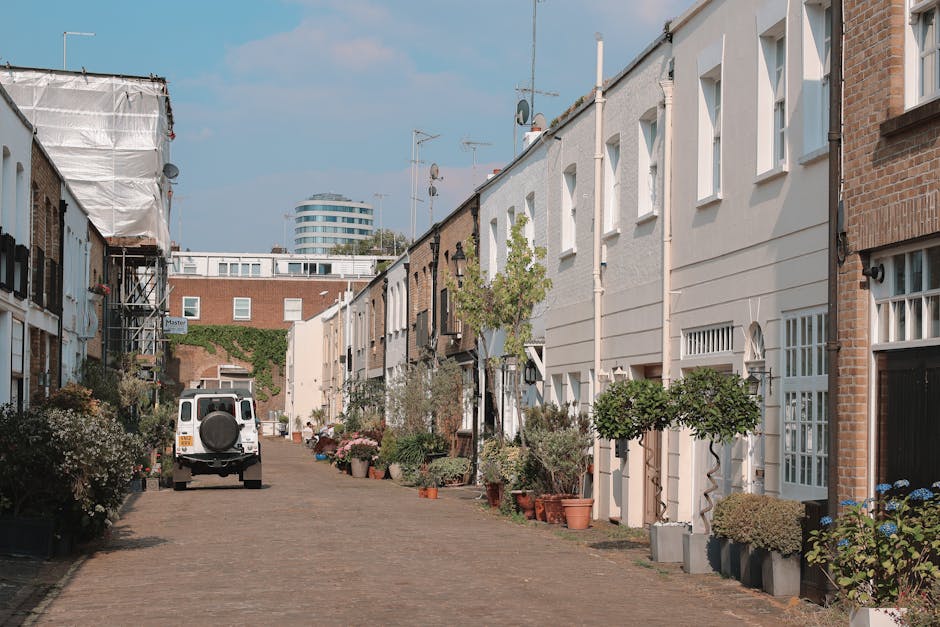 A quiet residential street in Westferry Road with neatly maintained buildings on both sides, featuring a mix of brick and white painted facades. The pavement is lined with an array of potted plants an